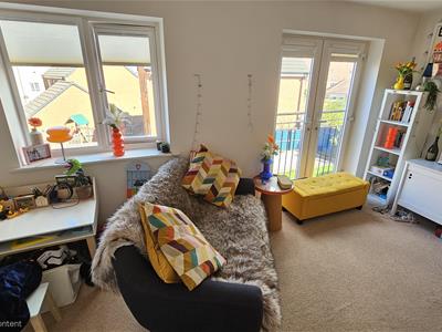Picture 14